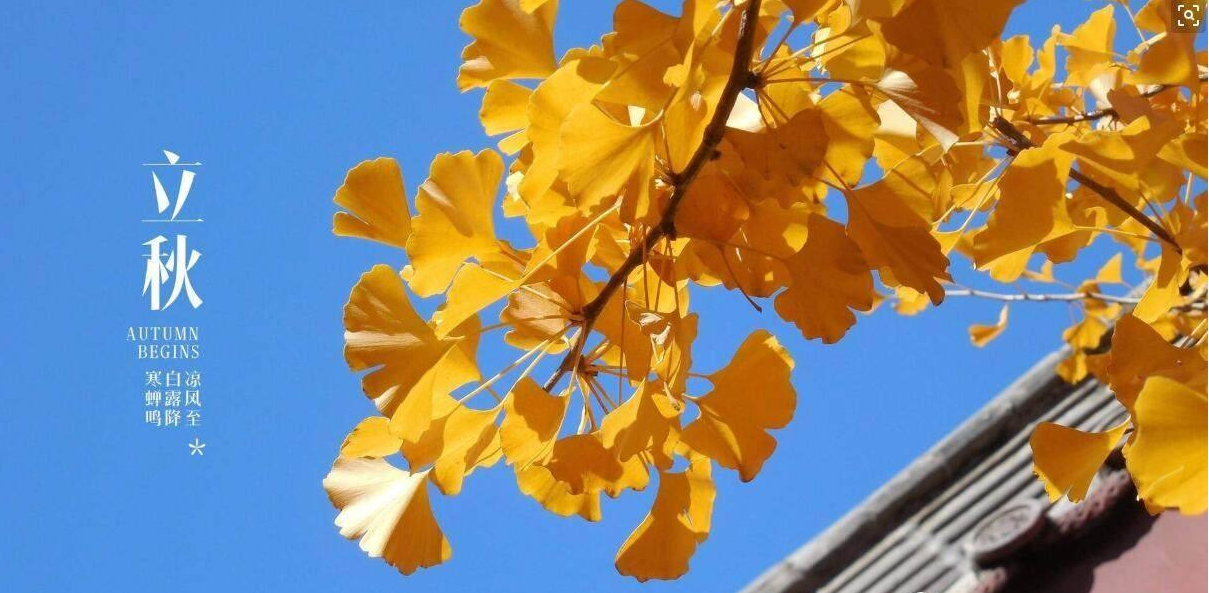 QQ圖片20190808150456.jpg QQ圖片20190808150456.jpg