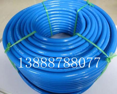 �����z��